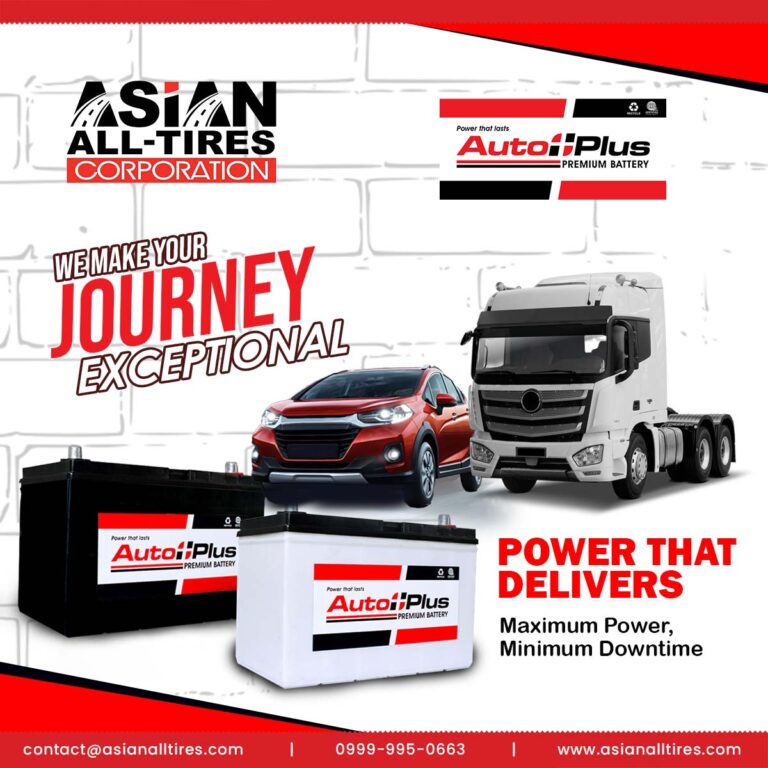 Read more about the article AUTO PLUS BATTERY!